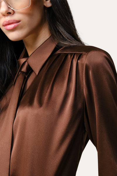 Silk Tie Button Down Image 3