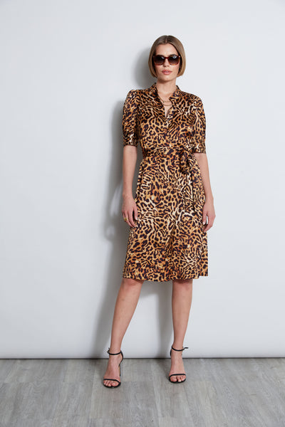 Wildcat Shirt Dress Image 1
