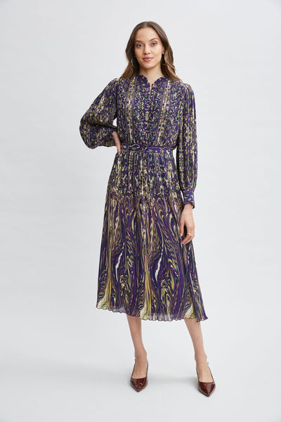 Paisley Midi Dress Image 1