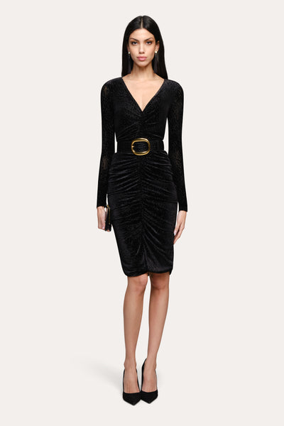 Dalton Velvet Dress Image 2