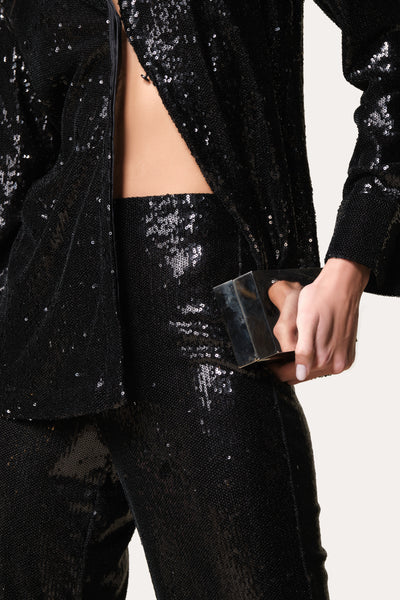 Sequined Pant Image 4