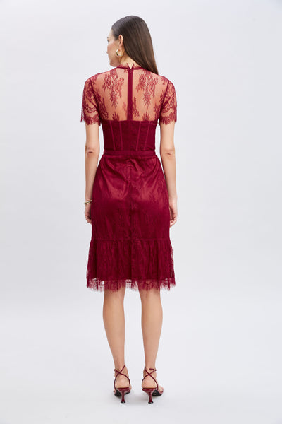 Corset Lace Dress Image 6