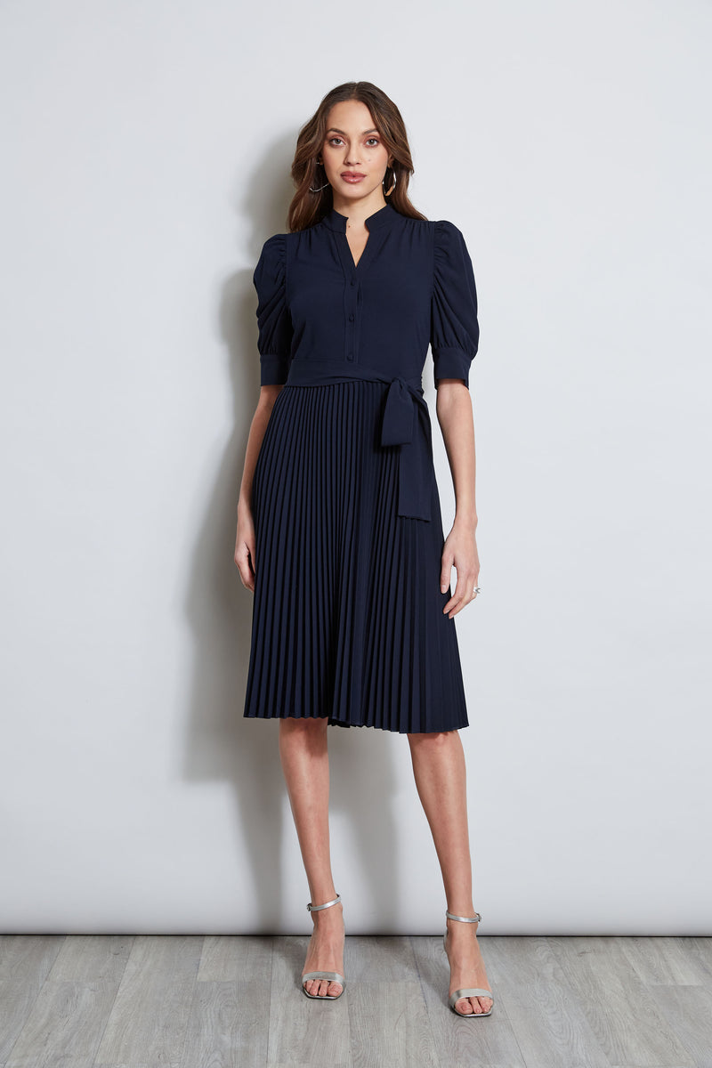 Pleated Ruched Sleeve Dress