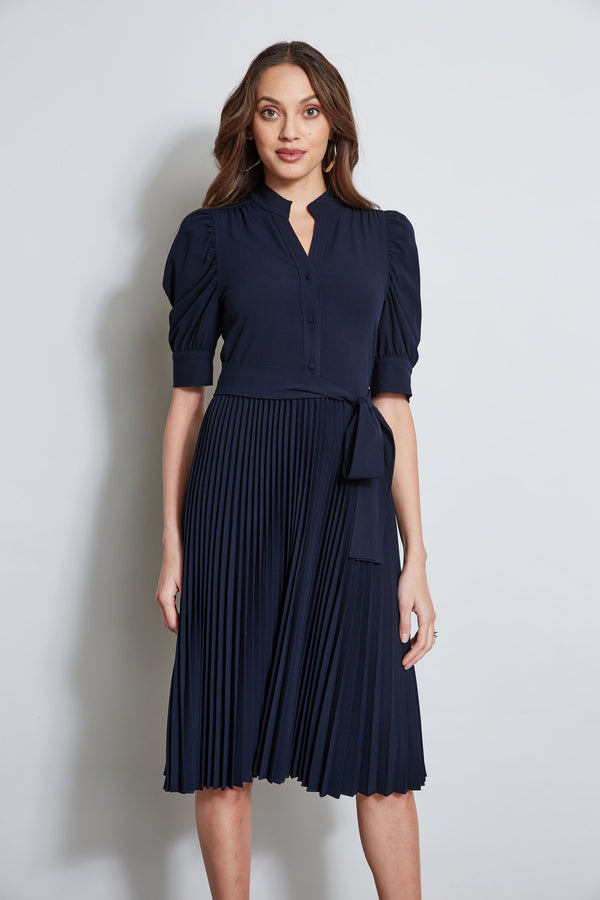 Pleated Ruched Sleeve Dress