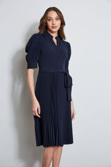 Pleated Ruched Sleeve Dress