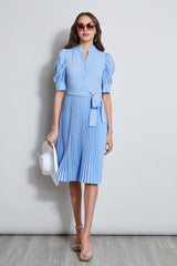 Pleated Ruched Sleeve Dress