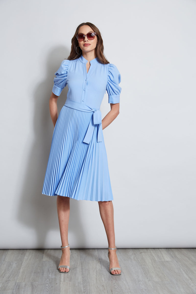Pleated Ruched Sleeve Dress
