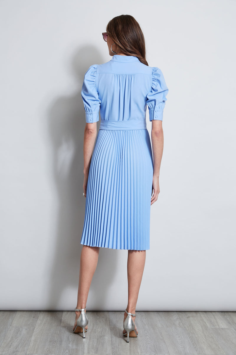 Pleated Ruched Sleeve Dress