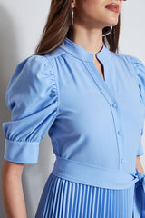 Pleated Ruched Sleeve Dress