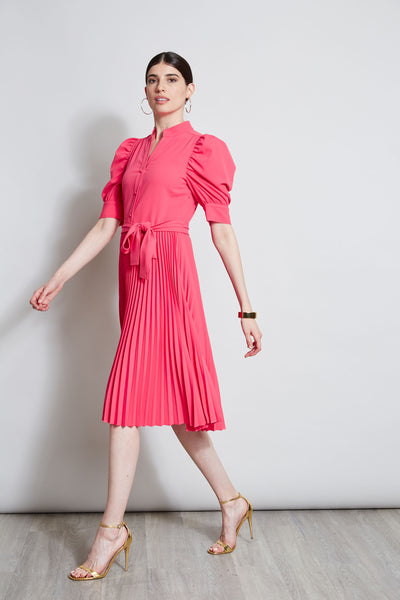Pleated Ruched Sleeve Dress Image 4