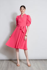 Pleated Ruched Sleeve Dress