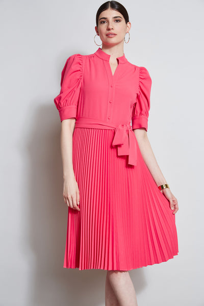 Pleated Ruched Sleeve Dress Image 3