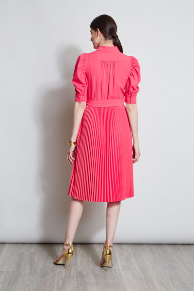 Pleated Ruched Sleeve Dress Image 6