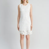 Lace Shift Dress