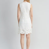 Lace Shift Dress