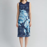Midnight Shadow Mesh Dress