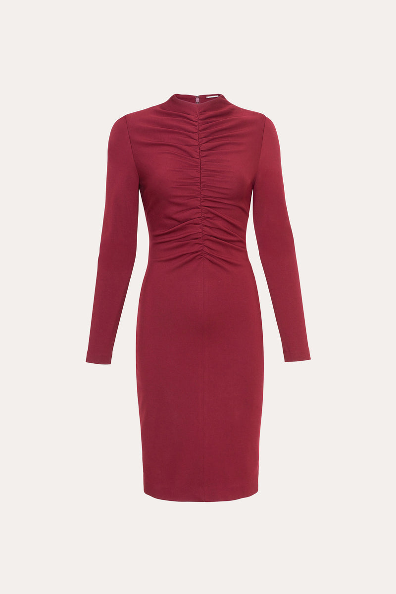 Pinched Bodice Dress