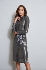 Sequin Shirt Dress