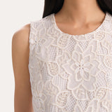 Lace Shift Dress