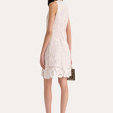 Lace Shift Dress