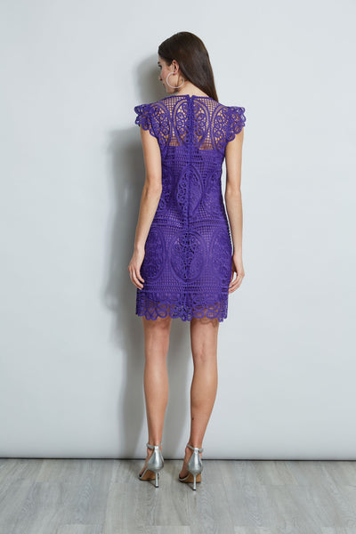 Lace Flutter Sleeve Dress Image 6