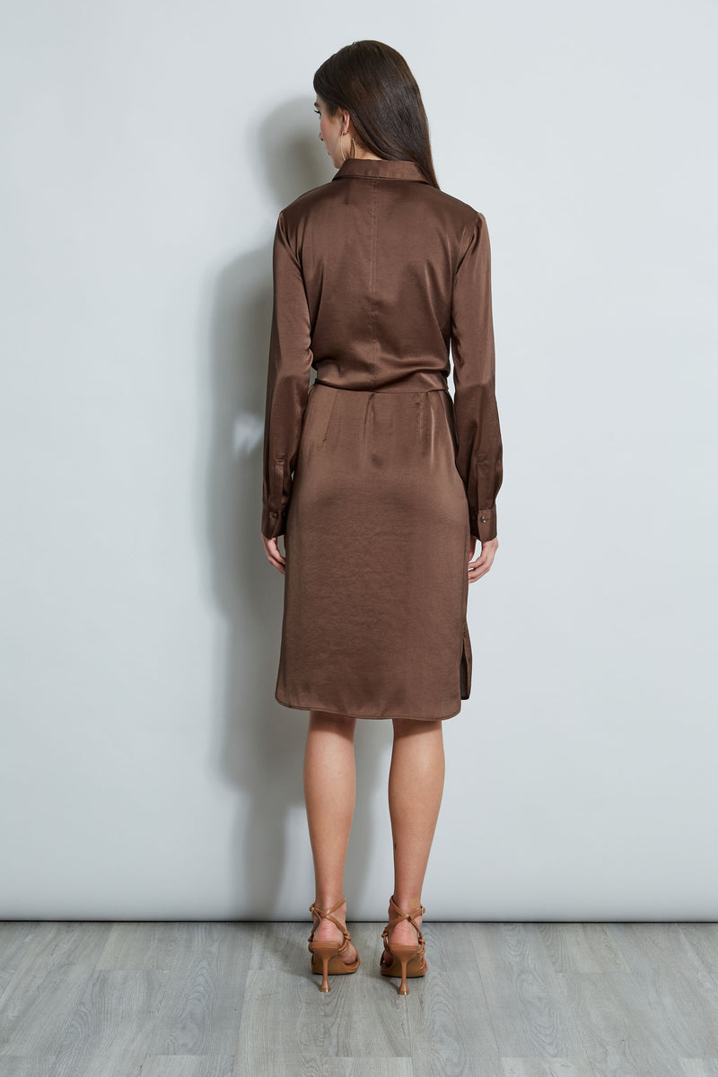 Satin Tie Shirt Dress
