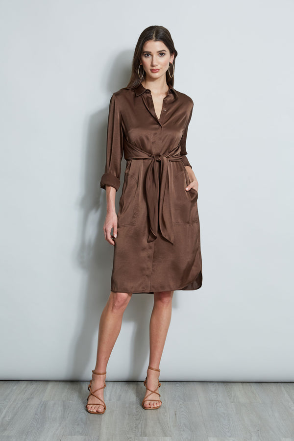 Satin Tie Shirt Dress