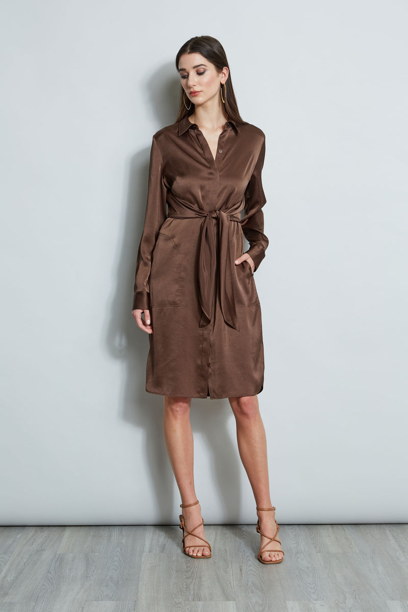 Satin Tie Shirt Dress